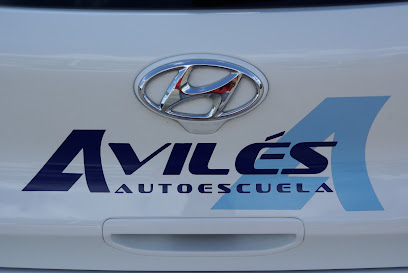 Foto Autoescuela Avilés (Cúllar Vega)