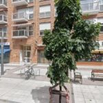 Autoescuela Lago 2 - CAP NAVARRA (Pamplona)