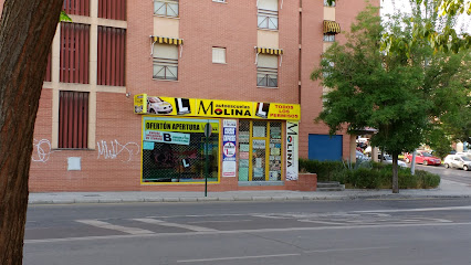 Foto Autoescuela Molina Plaza Europa