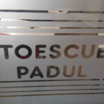 Autoescuela Padul (Padul)