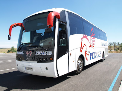 Foto Autoescuela Pegasus