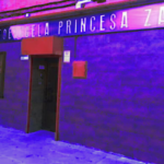 Autoescuela Princesa Zaida (Cuenca)