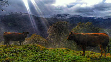 Foto Mieres
