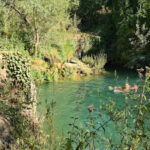 Palomares (Aldaia)